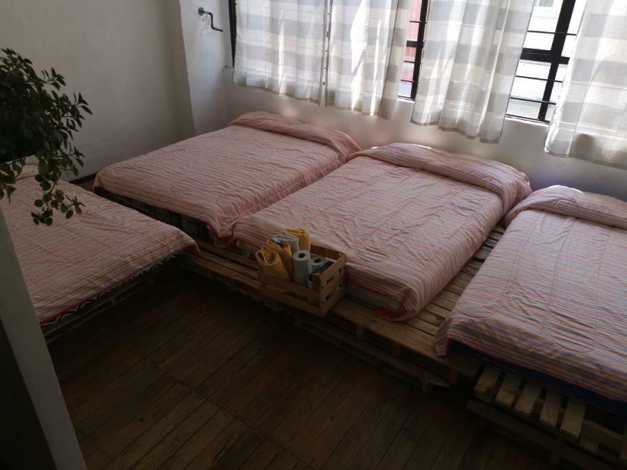 مدينة مكسيكو Hotel Hostal Savoy المظهر الخارجي الصورة